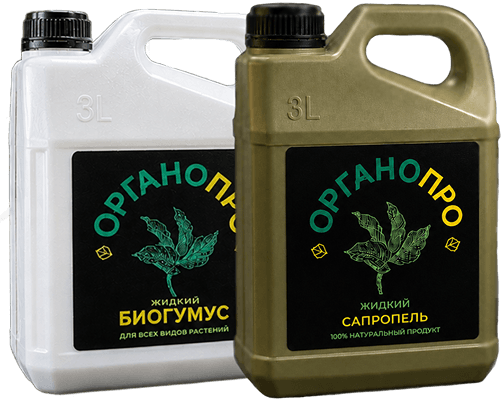 продукты